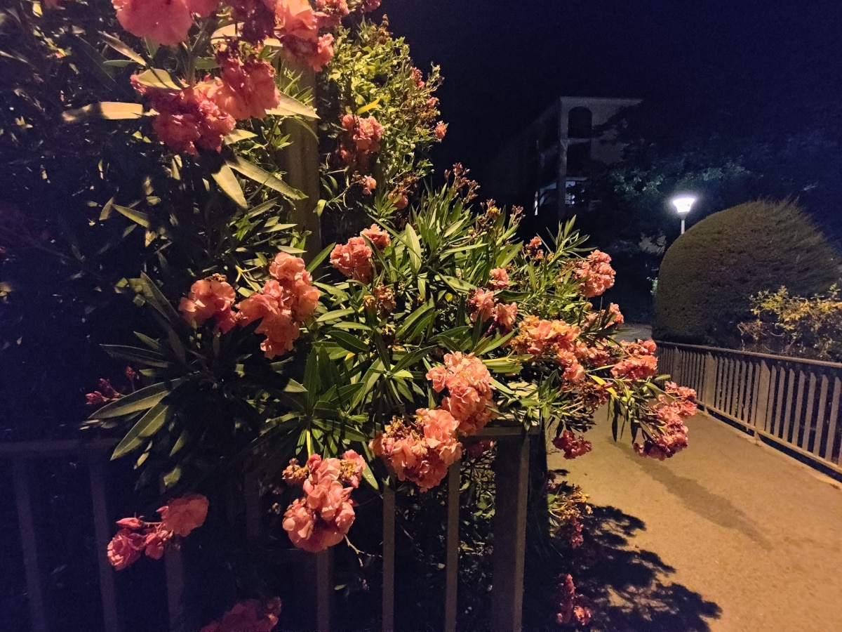 test asus zenfone 9