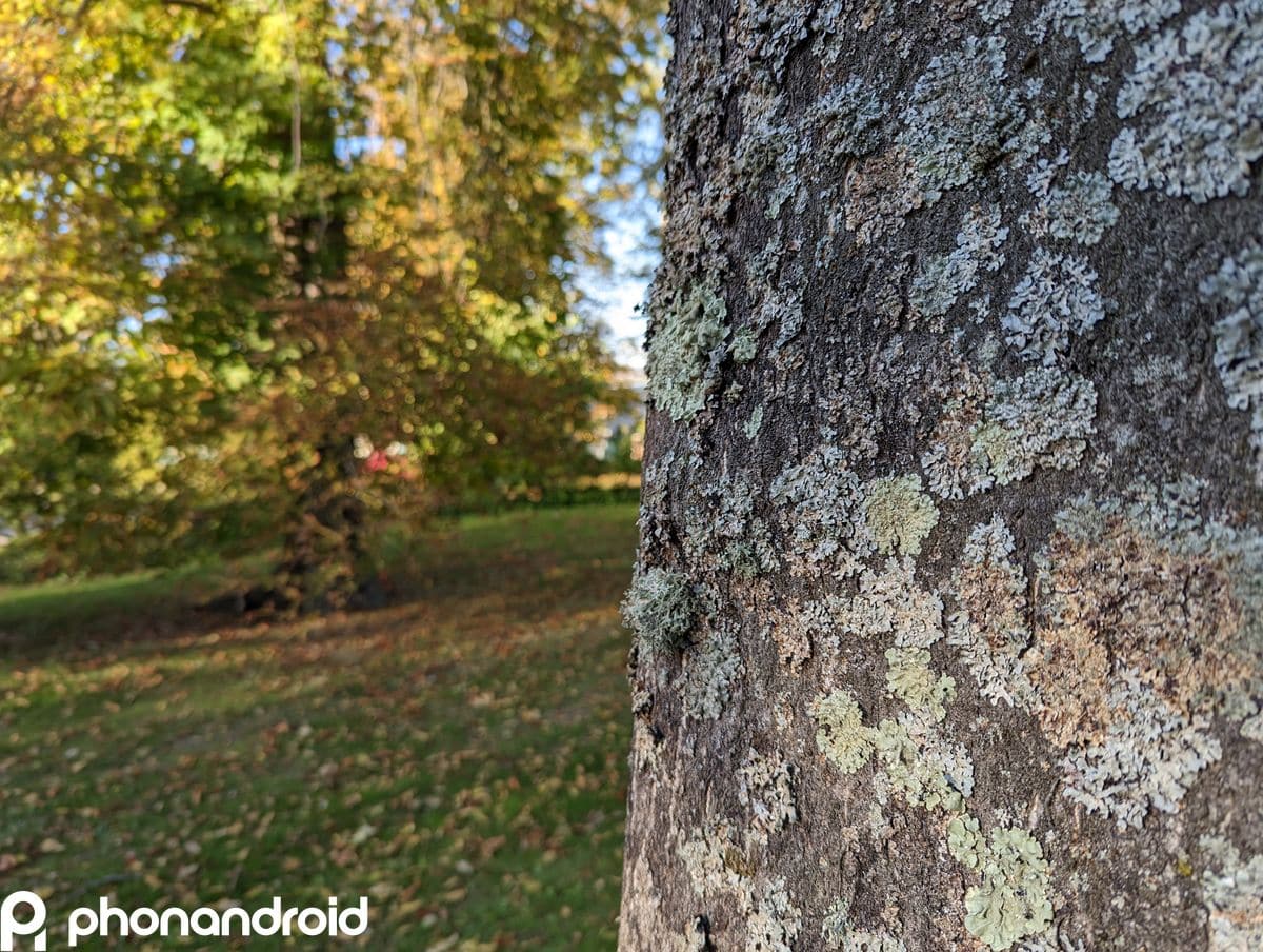Pixel 7 Pro 